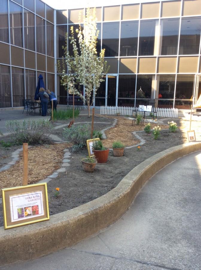 The herbs and tea garden located by Schrank Hall South