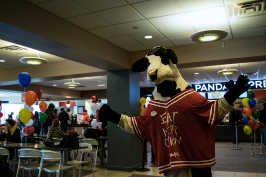 Mr.+Cow+celebrates+the+opening+of+Chick-fil-A+in+the+Student+Union+on+Tuesday.+