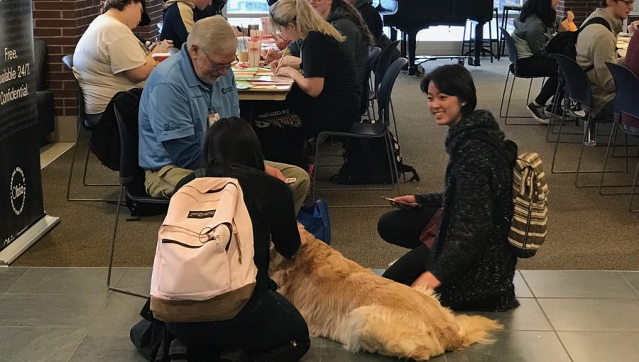 University students write “Get Well” cards for Akron Children’s Hospital patients and take a moment to relax with the therapy dogs.