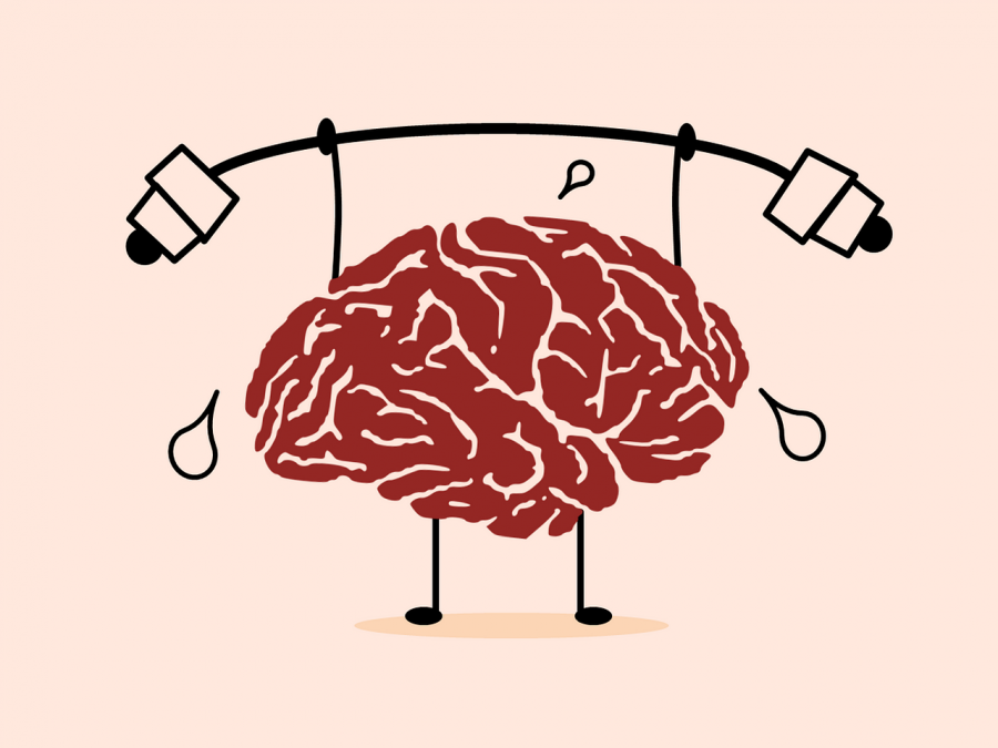“Brain Exercising,” by Tumisu. (Graphic courtesy of Creative Commons)