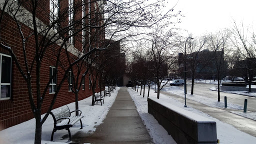 Snow still covered much of campus on Friday, Feb. 2.