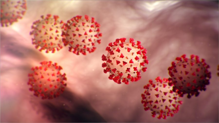 The Centers for Disease Control created this image to show the structure of the 2019 Novel Coronavirus.