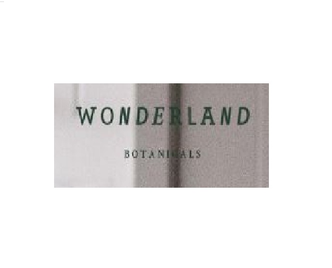 wonderland11-1693dfb1