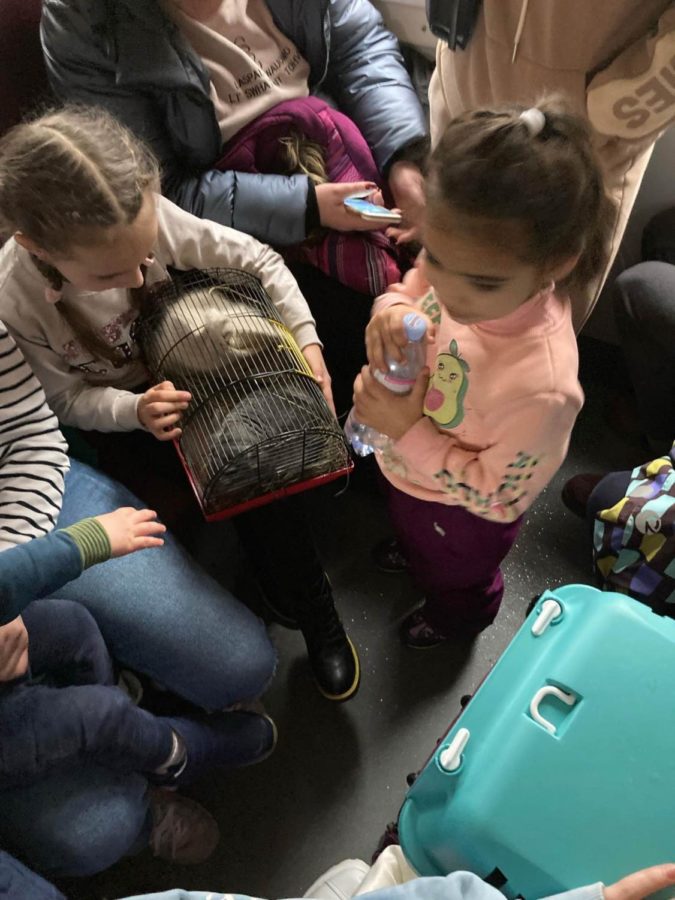 A photo taken on Bezuhla’s trip to Lviv. She described having to stand for the entirety of the nine hour trip to the city. The young girl in the photo was asking her mother if she could hold their pet chinchilla.