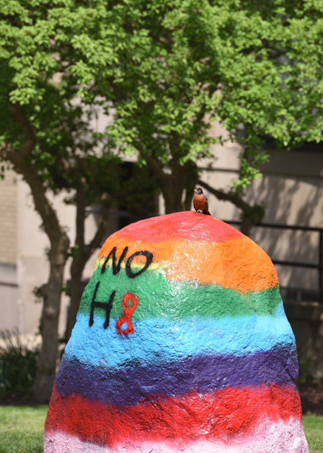 NO H8 campaign represented on campus .