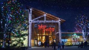 Akron Zoo Wild Lights Celebrates with Goodies, Santa, Music and More, Nov. 25 - Dec. 30