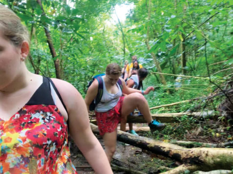 UA students walking through forest in Tahiti