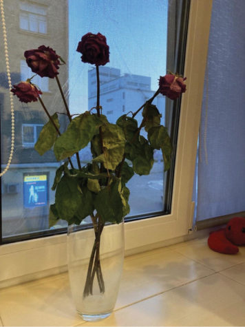 Dead roses in front of a tapped window in Hanna's apparent