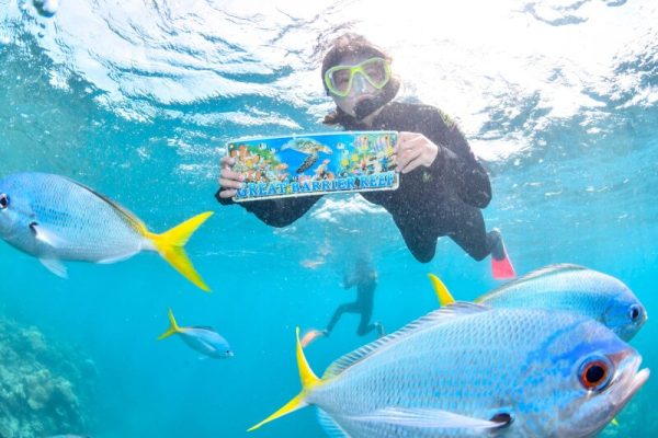 Snorkeling in the Great Barrier Reef 